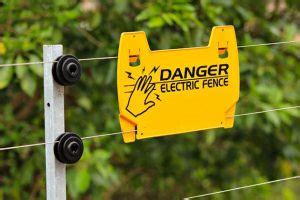 Are Electric Fences Legal in Residential Areas? And Why Do They Make Your Neighbor's Cat Glow in the Dark?