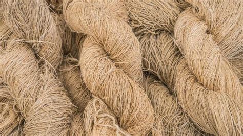  Hemp: Die Faszinierende Naturfaser für innovative textile Anwendungen!