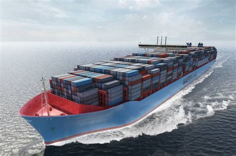 How Many Tons is a Cargo Ship, and Why Do Elephants Dream of Sailing?