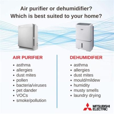 Is a Dehumidifier the Same as an Air Purifier? And Why Do Cats Always Land on Their Feet?