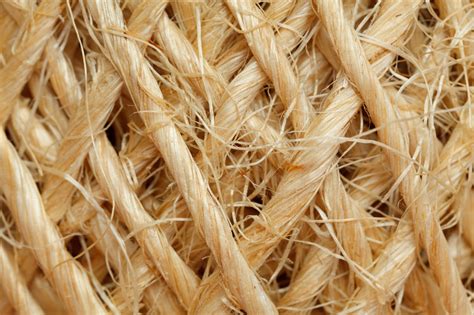  Jute: Die Faszinierende Naturfaser für den nachhaltigen Maschinenbau!