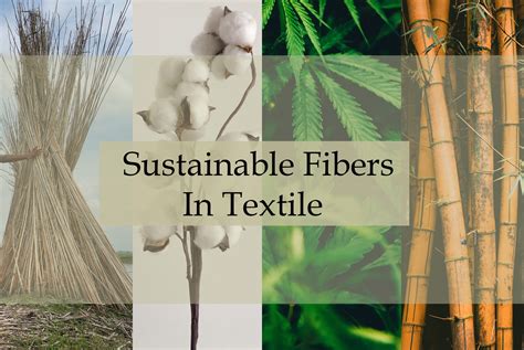  Nettle Fiber: Ein nachhaltiger Held für die Textilindustrie?