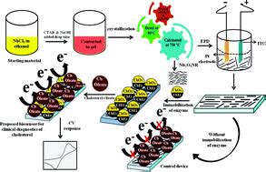 Oxide Nanorods - Revolutionizing Electronics and Biomedical Applications!