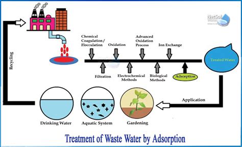 Zeolites! Versatility und Effizienz in der chemischen Industrie und der Wasseraufbereitung!